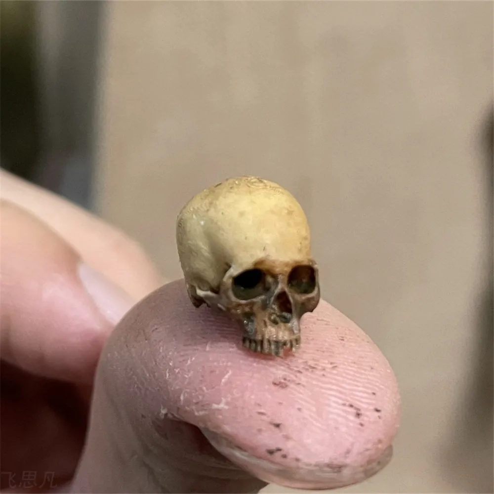 Mini Skull High Quality Miniat - Marine Aquarium Mini ulasan dan harga